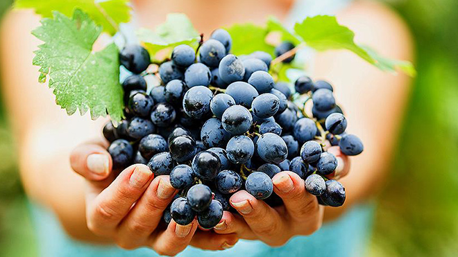 Что произойдет с организмом, если каждый день есть виноград