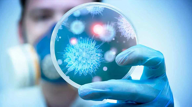 Китайские ученые сделали важное заявление о коронавирусе