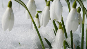 Март в феврале: синоптик представил аномальный прогноз на последний месяц зимы