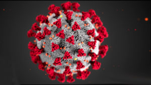 Найдена первая мутация коронавируса, против которой бессильны антитела
