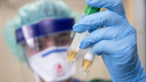 В России выявили первые случаи заражения птичьим гриппом H5N8