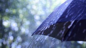 Синоптик ошарашил прогнозом на лето: два месяца дождей и холода