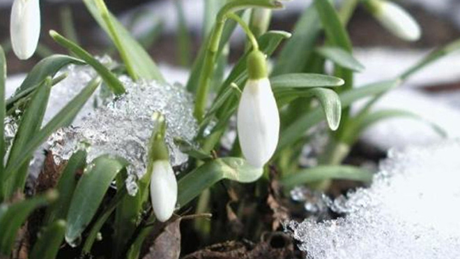 Новости Украины – Аномальный март: синоптики уточнили прогноз на начало весны