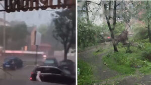 Новости Украины – Львовом пронеслась мощная буря. Видео, фото
